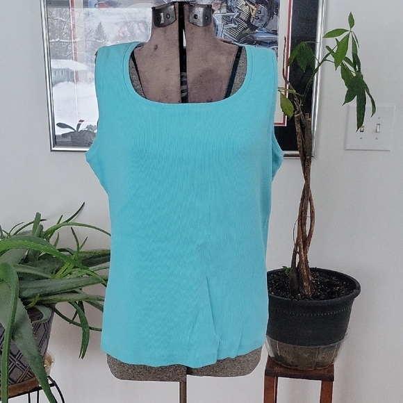 Chico's Tops - Chico's Top, XL, Blue